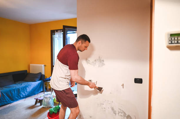 Attic Mold Removal in Silver Summit, UT